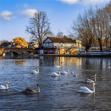 Stratford upon Avon with a River Cruise - Optimum