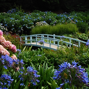 Colourful Cornish Gardens