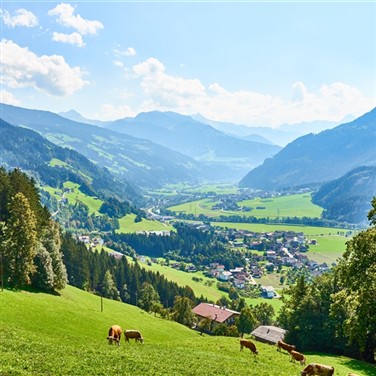 Tyrolean Summer Tranquility in the Austrian Alps