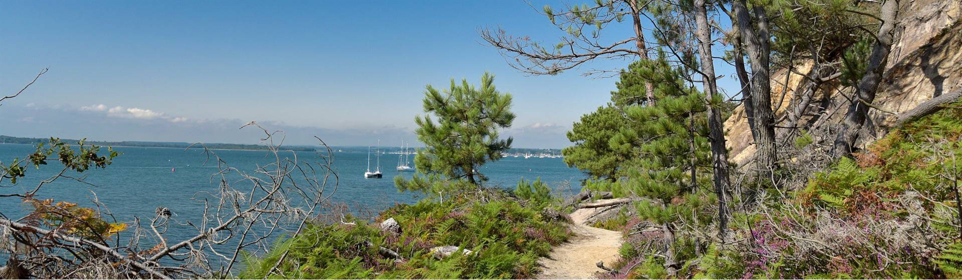 Walk Away: Purbeck Paths & Dorset Coastal Trails